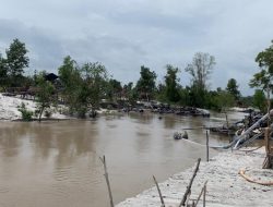 TI Ilegal di Kawasan Marbuk Dirazia APH