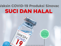 MUI : Vaksin Sinovac Halal dan Suci