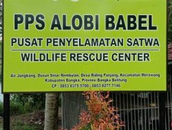 2,5 Tahun Berdiri, PPS ALOBI Air Jangkang Bersama PT Timah Telah Tangani 666 Satwa