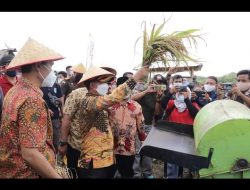 Panen Raya di Desa Banyu Asin, Mulkan: Ini Kebanggan Kita Semua