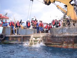 Sejak 2016, PT Timah Telah Tenggelamkan 4.580 Unit Artificial Reef di Laut Babel