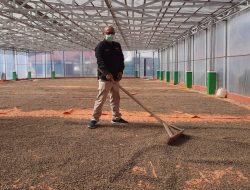 Optimalisasi Sistem Resi Gudang Jadi Pendorong Ekonomi Masyarakat