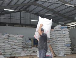 Jelang Panen Padi, KBI Dorong Pemanfaatan Resi Gudang