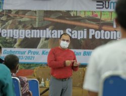 Upaya Peningkatan Ekonomi dari Peternakan Sapi