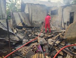 Tim Pemadam Kebakaran PT Timah di UPLB Belinyu Terus Siaga Padamkan Kebakaran