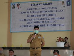 Gubernur Babel Ajak Warga Bikang Kelola Nanas Secara Profesional