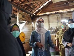 Melati Erzaldi Bersama UMKM Desa Bikang Kembangkan Nanas Madu Jadi Produk Unggulan