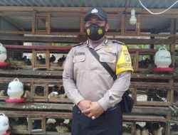 Isi Waktu Luang Dengan Beternak Burung Puyuh, Brigpol Antonius Hasilkan Jutaan Rupiah