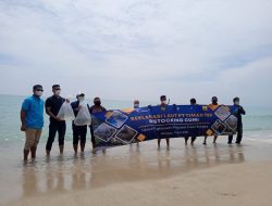 PT Timah Lepas Ratusan Anakan Cumi di Pantai Tikus Emas