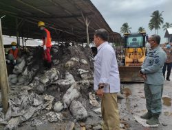 Tim Investigasi Kemenko Kemaritiman Temukan Lokasi IUP Tidak Ada Operasional