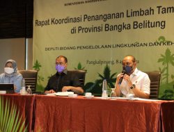 Kemenko Kemaritiman akan Bentuk Satgas, Dalam Upaya Mengelola Tambang Timah dan Mineral Ikutan