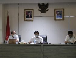 Rehabilitasi Mangrove, Babel Aktifkan UPTD Kesatuan Pengelolaan Hutan Produksi