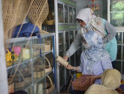 Tanaman Nipah, Tingkatkan Ekonomi Masyarakat
