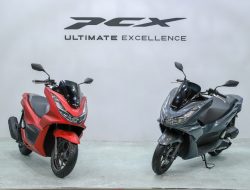 Jadi Motor Terbaik, All New Honda PCX Raih Bike of The Year
