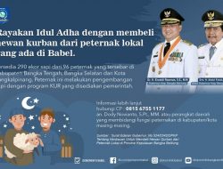 Sambut Idul Adha dengan Membeli Hewan Kurban dari Peternak Lokal