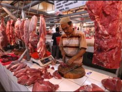 Jelang Idulfitri, Harga Daging Sapi di Bangka Lampaui HET