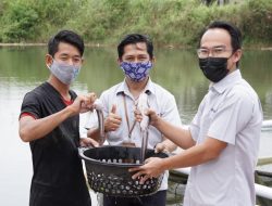 CSR PT Timah Berdayakan Masyarakat dengan Potensi Lokal