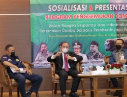 Tingkatkan Pendapatan Masyarakat, Pemprov Babel Canangkan Program Penggemukan Domba