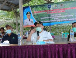 Pastikan Tepat Guna, Kucuran Dana 10 Miliar Rehabilitasi Mangrove Ditinjau Gubernur Erzaldi