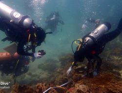 FPPB UBB dan LIPI Eksplorasi Laut Pulau Panjang Bangka Tengah