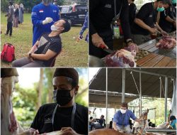 Sebelum Potong Hewan Kurban, Panitia Masjid Al Furqon Diswab Antigen