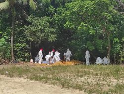 Dua Pasien Positif Covid-19 di Bangka Barat Meninggal Dunia