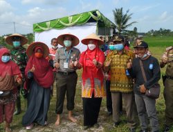 Penyuluh dan Petani Ikuti Bimtek Teknologi Budidaya Padi Jarwo Super di Desa Rias
