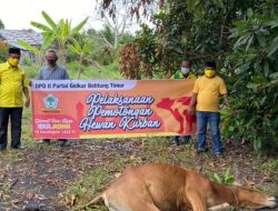 Golkar Bangka Belitung Salurkan 1000 Paket Daging Sapi Qurban