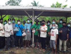 PWPM Babel Bagikan Ratusan Paket Sapi Qurban ke Masyarakat Tempilang