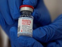 Tak Cuma Nakes, Vaksin Moderna Juga Bisa Untuk Umum