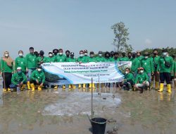 Tanam 2000 Mangrove, PT Timah Hidupkan Wisata Pantai Tanjung Pakdan