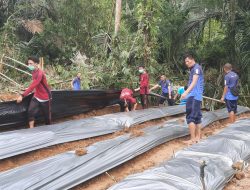 Atasi Ketahanan Pangan Dimasa Pandemi Covid, Polsek Payung Buka Lahan Kebun Bagi Masyarakat