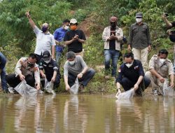 Jaga Kelestarian Satwa, PT Timah Tbk Ikut Lepasliarkan Satwa di Hutan Menumbing