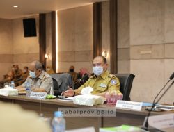 Gubernur Erzaldi: Sertifikat Atas Hak Tanah Beri Kepastian Investasi di Babel