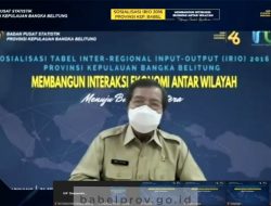 Tabel IRIO 2016 BPS Sumber Informasi Penting Pembangunan Babel