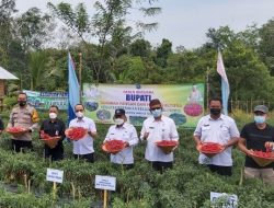 Bupati Algafry Sebut Pertanian Keluarga Upaya Tingkatkan Kesejahteraan Petani Bateng