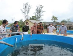 Sempat “Tertidur”, Kini Produksi Budidaya Ikan di BPI Tanjung Rusa Meningkat