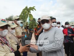 Dua Ribu Bibit Pohon untuk Hijaukan Kawasan Danau Pading