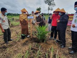 Bupati dan Wabup Basel Bagikan Ribuan Bibit Sawit dan Pupuk ke Pemdes Sengir
