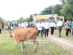 Wujudkan Swasembada Daging, Gubernur Serahkan Bantuan Sapi di Desa Cambai
