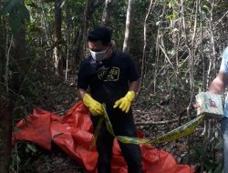 Diduga Frustasi, Usman Gantung Diri di Pohon Cempedak