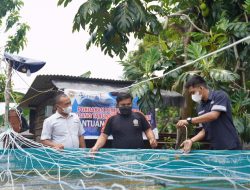 PT Timah Berikan Bantuan kepada Pokdakan Pemuda Mandiri untuk Budidayakan Udang Vaname