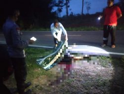 Lelaki Tak Bernyawa Tergeletak di Jalan Raya Desa Cambai Selatan