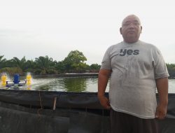 Terima Bantuan dari PT Timah, Kini Zakaria Nelayan Tradisional Miliki Tambak Udang Vaname