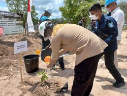 Peringati Hari Air Sedunia, PT Timah Bersama Pemkab Babar Tanam Pohon