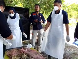 Makam Jenazah Bayi yang Ditemukan di Pulau Tinggi Dibongkar