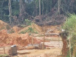 Miris, Aktivitas TI Liar Hampir Merambat Ruas Jalan Raya Air Gegas