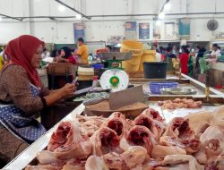 Harga Daging Ayam di Pasar Kite Capai 40 Ribu Per Kilogram