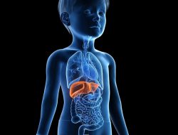 Hepatitis Akut Belum Terdeteksi di Bangka Barat