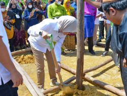 Menjaga Tradisi, Melestarikan Adat Suku Mapur, PT Timah Tbk Ngujem Tiang Kampung Adat Gebong Memarong di Dusun Air Abik